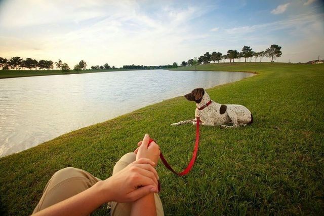 16918 Himley Drive, Cypress, TX 77433