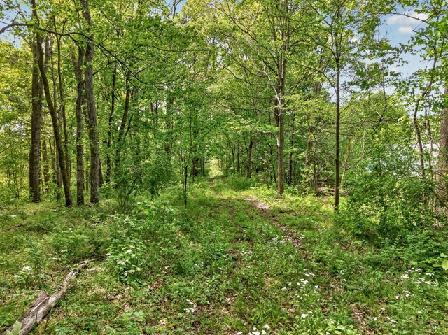 475 Old Elkton Pike, Fayetteville, TN 37334