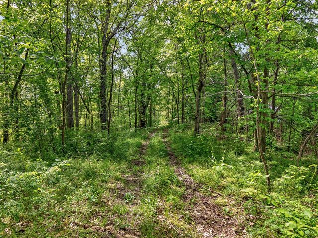 475 Old Elkton Pike, Fayetteville, TN 37334