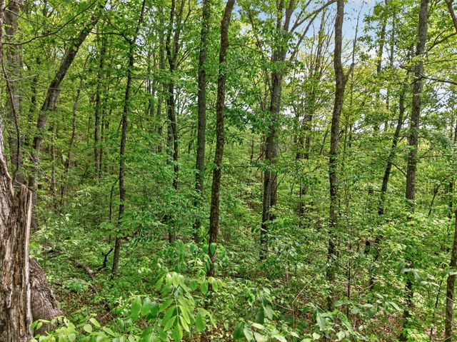 475 Old Elkton Pike, Fayetteville, TN 37334