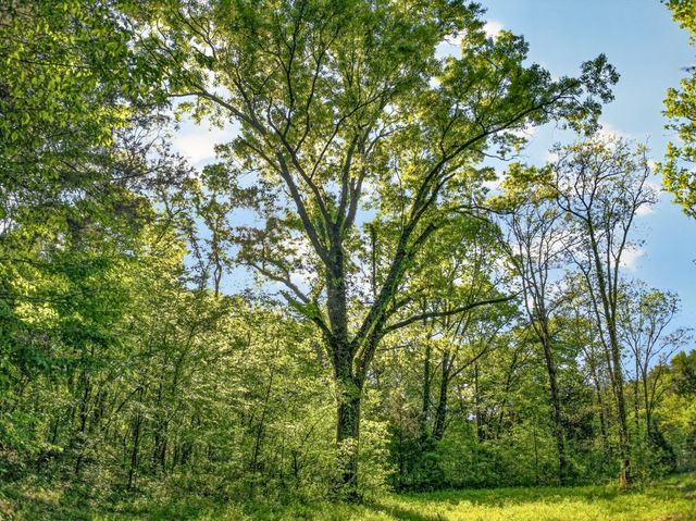 475 Old Elkton Pike, Fayetteville, TN 37334