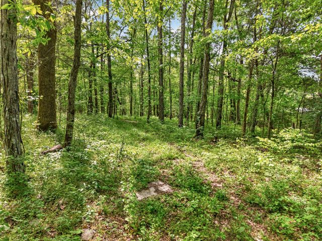 475 Old Elkton Pike, Fayetteville, TN 37334