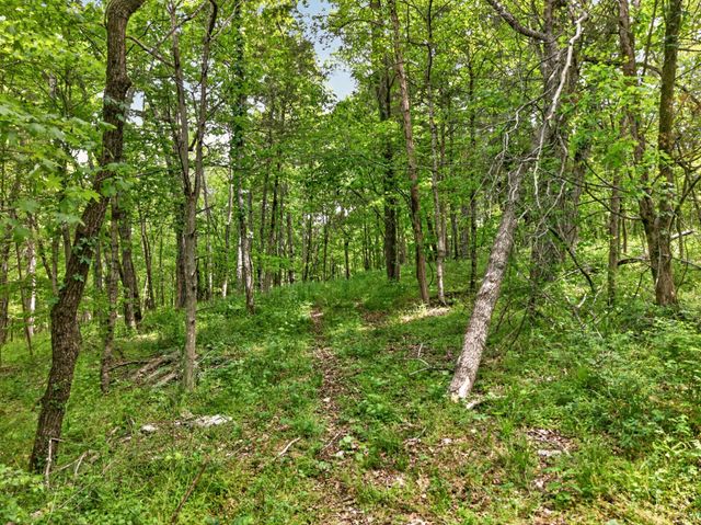 475 Old Elkton Pike, Fayetteville, TN 37334