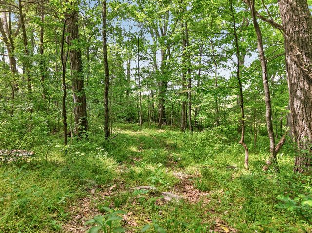 475 Old Elkton Pike, Fayetteville, TN 37334