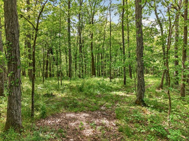 475 Old Elkton Pike, Fayetteville, TN 37334