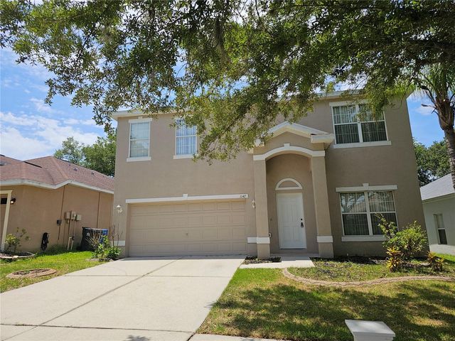 1147 EMERALD HILL WAY, Valrico, FL 33594