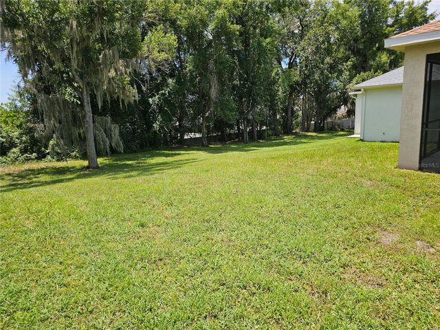 1147 EMERALD HILL WAY, Valrico, FL 33594