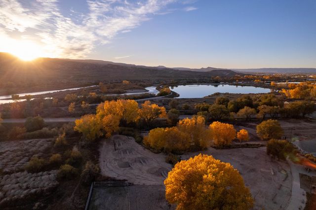 264 Hollyberry Way, Fruita, CO 81521