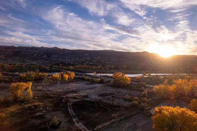 264 Hollyberry Way, Fruita, CO 81521