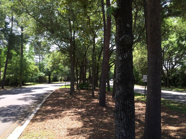 125 Parkwood Drive, Niceville, FL 32578