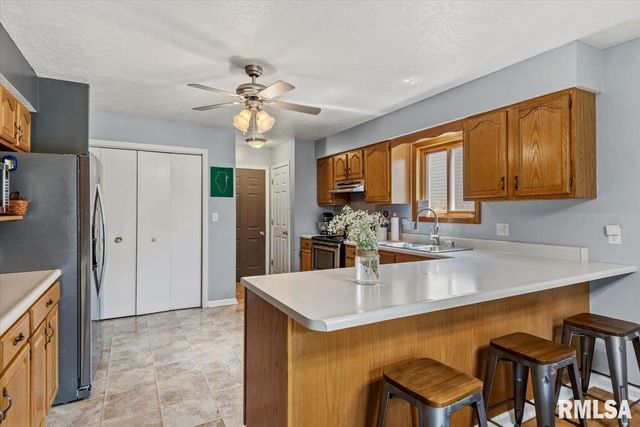 425 Dewberry Trail, Chatham, IL 62629