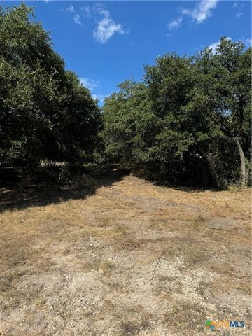 Lot 5 Bowles Ranch Road, Belton, TX 76513