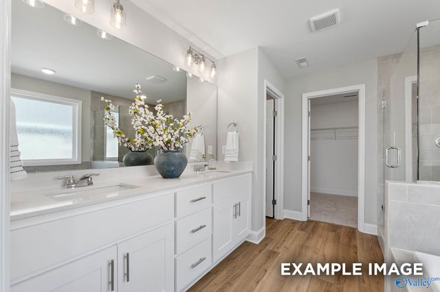 138 Bella May Lane, New Market, AL 35761