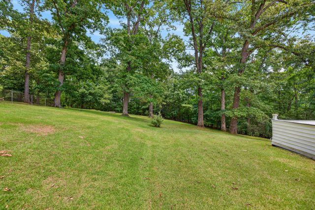 313 Valley View Rd, Dover, TN 37058