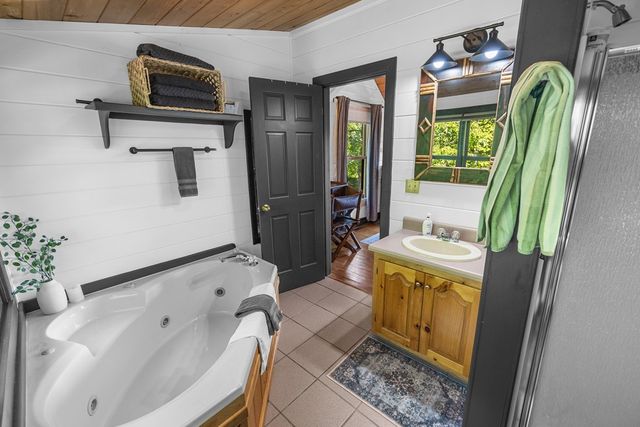 832 Scenic Mountain View Road, Blue Ridge, GA 30513