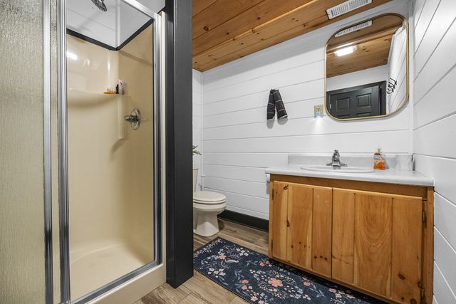 832 Scenic Mountain View Road, Blue Ridge, GA 30513