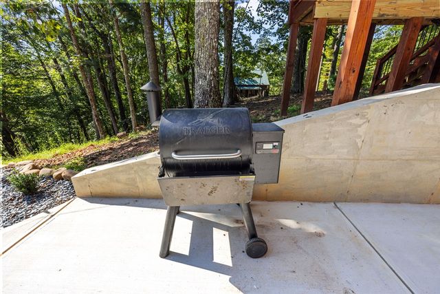 832 Scenic Mountain View Road, Blue Ridge, GA 30513