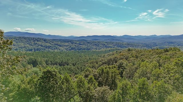 832 Scenic Mountain View Road, Blue Ridge, GA 30513