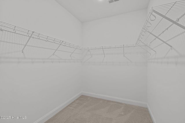 223 Great Egret Way, Beaufort, NC 28516