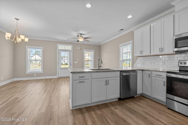 223 Great Egret Way, Beaufort, NC 28516