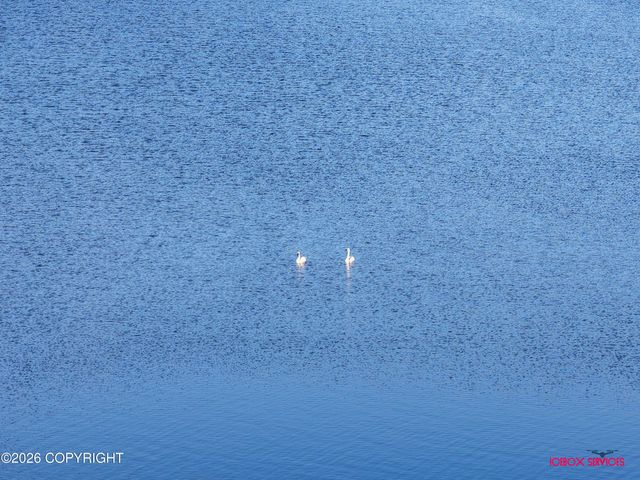 12817 W Birch Road, Big Lake, AK 99694