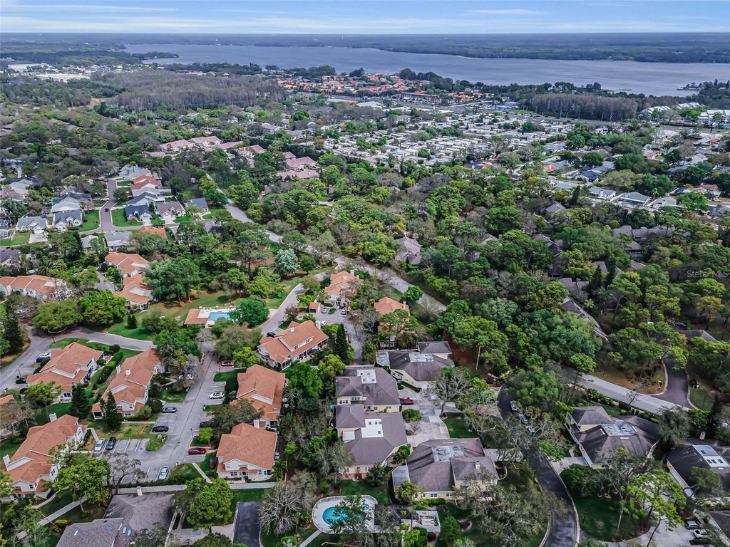 Image 3 of property listing at 2175 OAK FOREST LANE, Palm Harbor, FL 34683