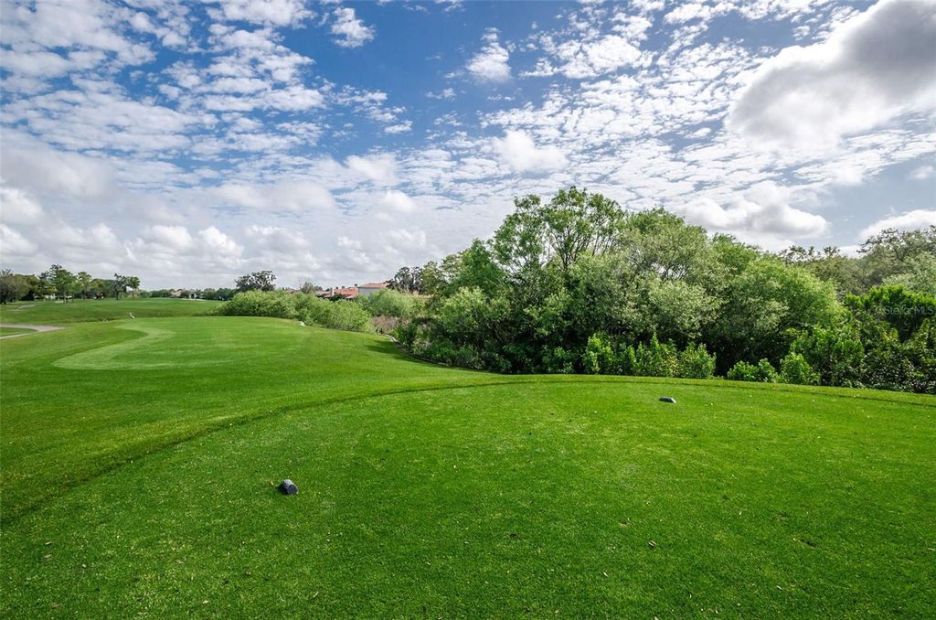 Image 63 of property listing at 2175 OAK FOREST LANE, Palm Harbor, FL 34683