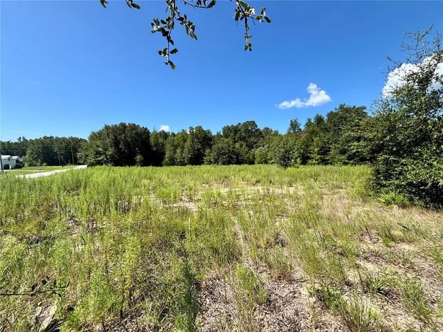 TBD SW 132ND AVENUE, Dunnellon, FL 34432