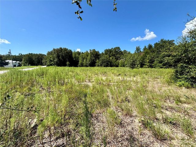 TBD SW 132ND AVENUE, Dunnellon, FL 34432