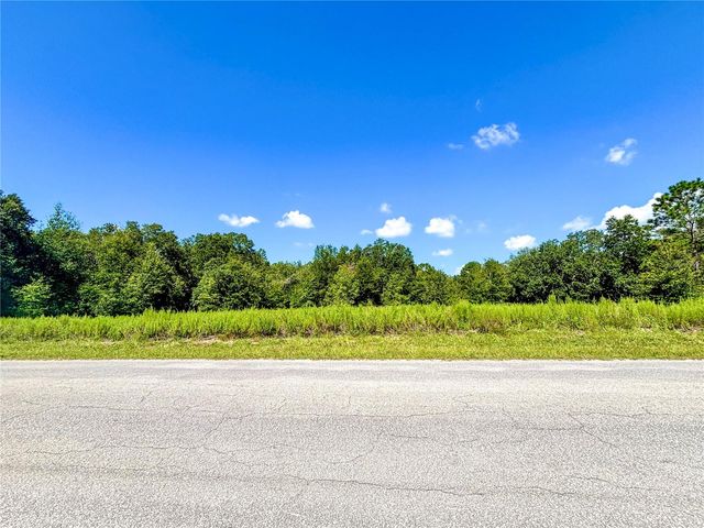 TBD SW 132ND AVENUE, Dunnellon, FL 34432