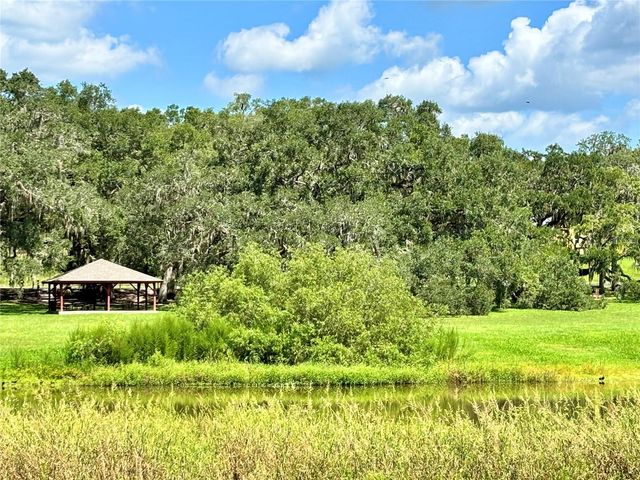 TBD SW 132ND AVENUE, Dunnellon, FL 34432
