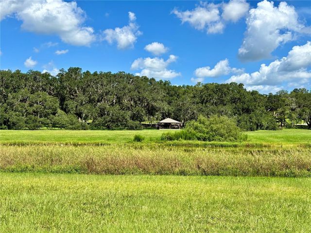 TBD SW 132ND AVENUE, Dunnellon, FL 34432