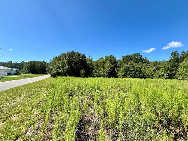 TBD SW 132ND AVENUE, Dunnellon, FL 34432