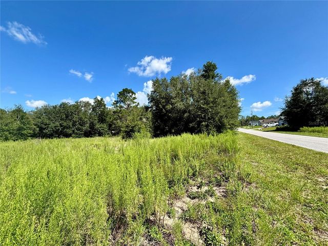 TBD SW 132ND AVENUE, Dunnellon, FL 34432