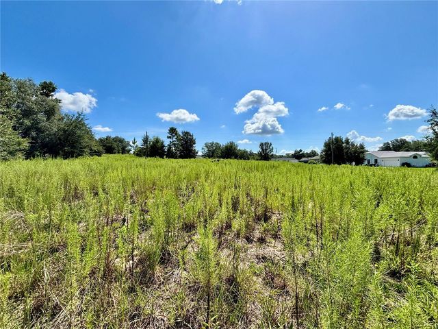 TBD SW 132ND AVENUE, Dunnellon, FL 34432