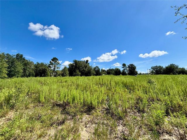 TBD SW 132ND AVENUE, Dunnellon, FL 34432