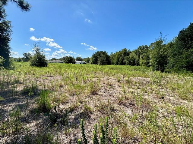 TBD SW 132ND AVENUE, Dunnellon, FL 34432