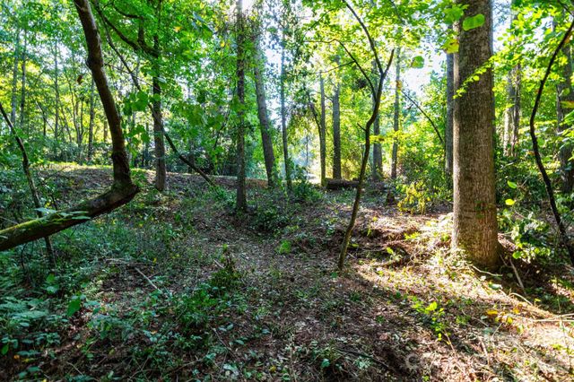 246 Classic Oaks Circle 10, Hendersonville, NC 28792