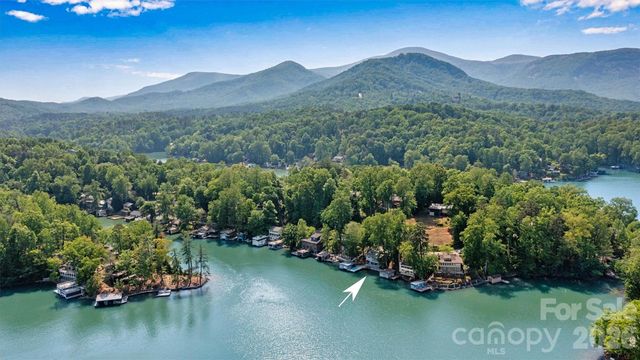 462 Charlotte Drive, Lake Lure, NC 28746