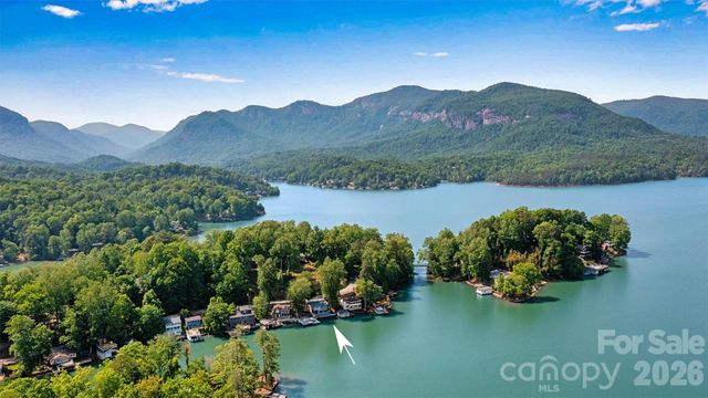 462 Charlotte Drive, Lake Lure, NC 28746