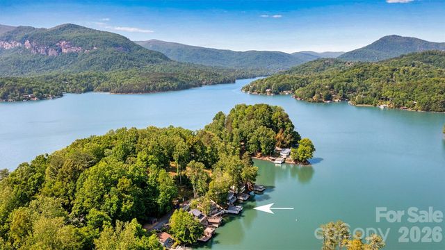 462 Charlotte Drive, Lake Lure, NC 28746