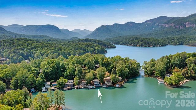 462 Charlotte Drive, Lake Lure, NC 28746