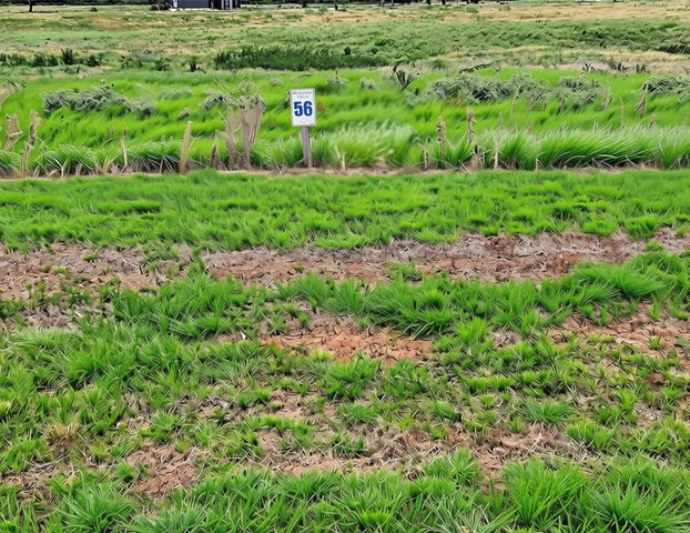 Lot 56 Kayak Cove, Corsicana, TX 75109