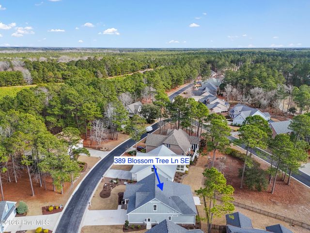 389 Blossom Tree Lane SE, Bolivia, NC 28422