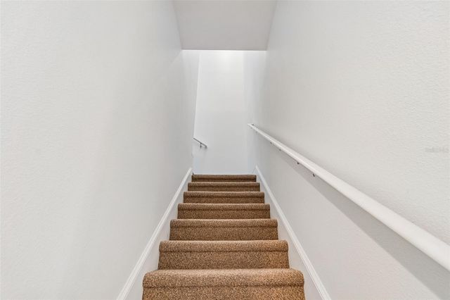 10524 MISTFLOWER LANE, Tampa, FL 33647