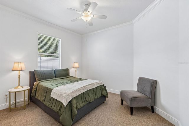 10524 MISTFLOWER LANE, Tampa, FL 33647