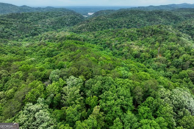 0 Shady Grove Road, Talking Rock, GA 30175