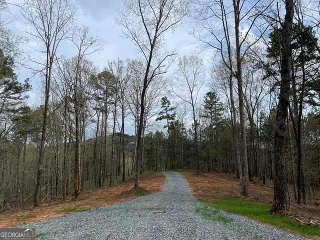 0 Shady Grove Road, Talking Rock, GA 30175