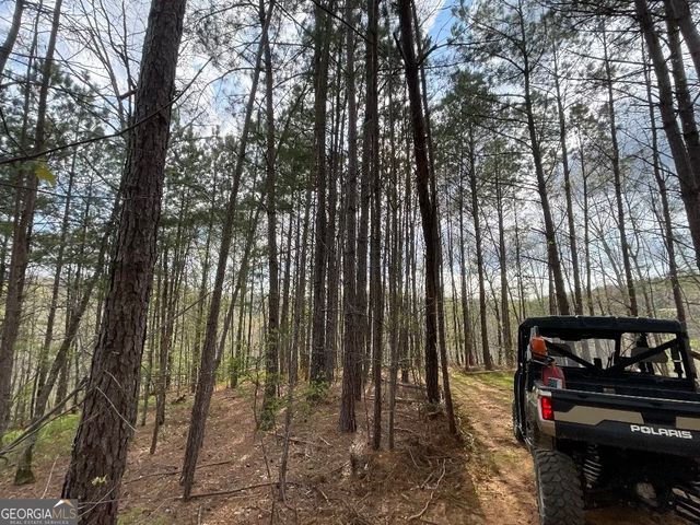 0 Shady Grove Road, Talking Rock, GA 30175