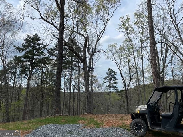 0 Shady Grove Road, Talking Rock, GA 30175